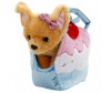           19  CT181087-18B -         19  CT181087-18B