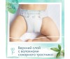  Pampers  Pure Protection .5 (11+ ) 24 . - Pampers  Pure Protection .5 (11+ ) 24 .