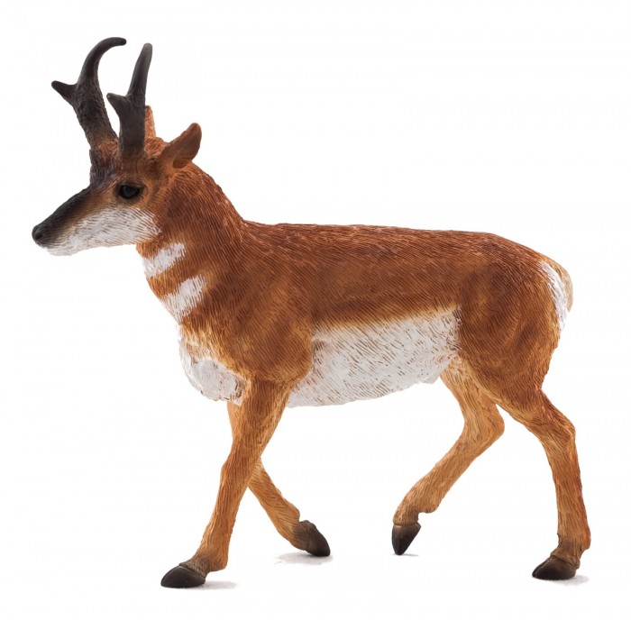  Mojo Animal Planet  M
