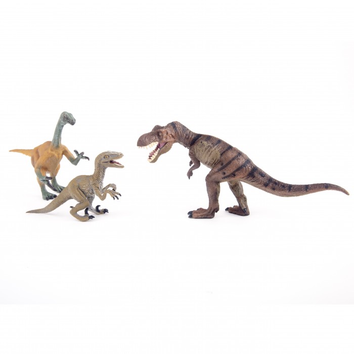  Collecta   5