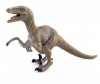  Collecta   5 - Collecta   3 . 5