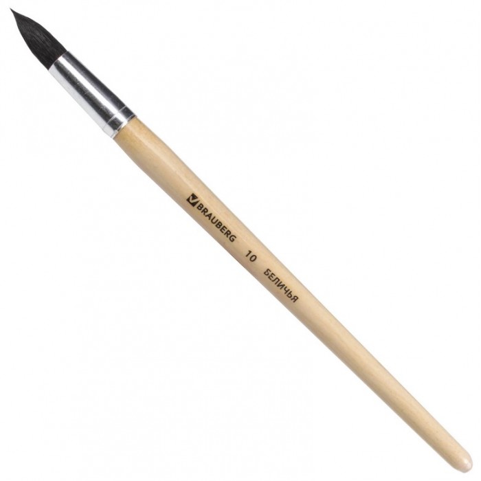  Brauberg    10