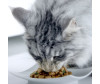  Purina ONE           75  - Purina ONE           75 