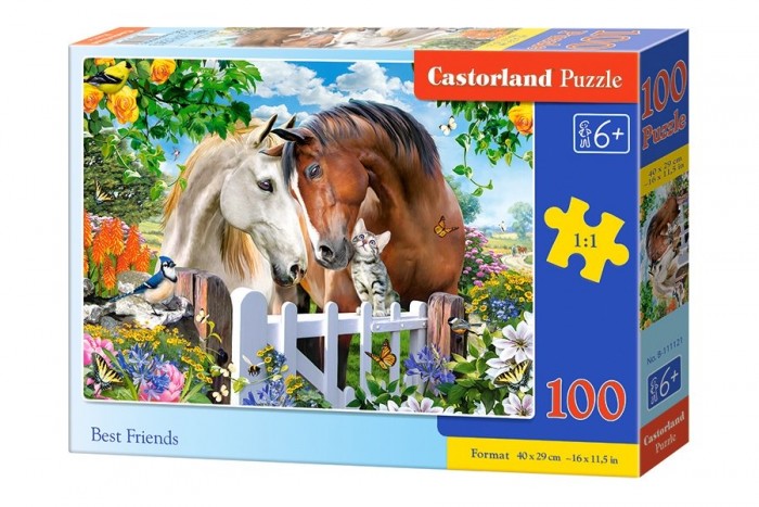  Castorland Puzzle   (100 )