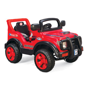  Dolu     8069