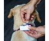  Tractive    c   Dog 4 LTE - tractive-gps-4-how-to-put-1643888077