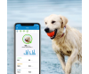  Tractive    c   Dog 4 LTE - tractive-gps-dog-4-yuki-activity-monitorin-1643886591