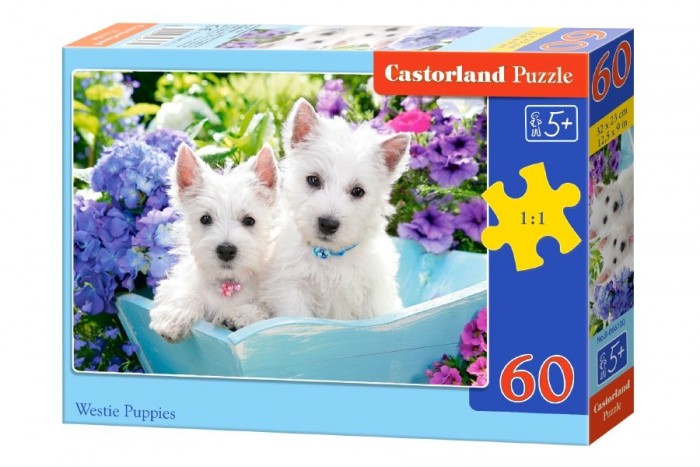  Castorland Puzzle   Midi (60 )