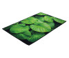  Vortex   Velur SPA  80x50  - Vortex   Velur SPA  80x50 