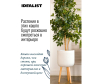  Idealist Lite     Idealist Lite    49.530  15.7  - WMESHR30-AW_3-1671100524