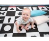  BabyPol      1801501  - BabyPol     
