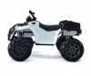  Barty  Grizzly Nex 009   - Barty  009
