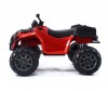  Barty  Grizzly Nex 009   - Barty  009