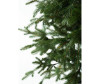  National Tree Company    160  - National Tree Company    160 