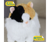   KiDWoW   379067275 - INF_JX602819308Y_1-1698771669