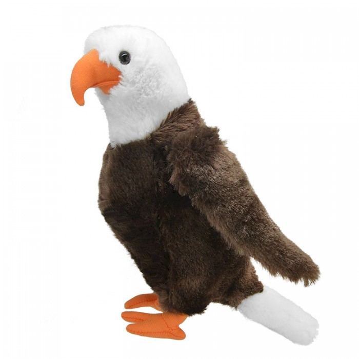   All About Nature  25 