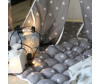   VamVigvam     125x125 - VamVigvam     125x125
