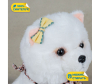   KiDWoW   379718267 - INF_WDE602319203_1-1698767044