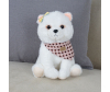   KiDWoW   379718267 - WDE602319203__1__1_.JPG-1698766699