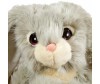   Keel Toys  Signature 35  - Keel Toys  35  Signature