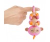   Fingerlings  372 - Fingerlings  12 