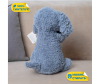   KiDWoW    351748835 - INF_JX503516506DB_1-1698780812