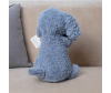   KiDWoW    351748835 - JX503516506DB__2_.JPG-1698781297