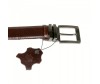  Wild Bear  RM-066m - Wild Bear  RM-066m