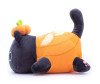   Mihi Mihi   25  - Mihi Mihi   Pumpkin Cat 25 