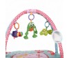   FunKids Happy Frog Gym - FunKids Happy Frog Gym