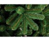  Crystal Trees     210  - Crystal Puzzle     210 