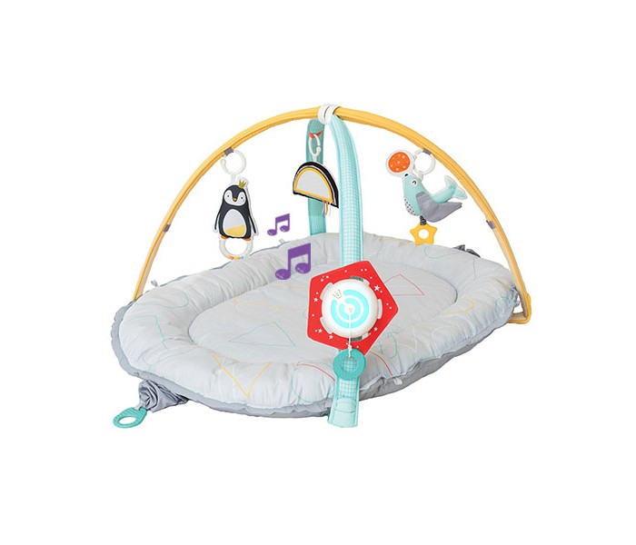   Taf Toys     100x80 