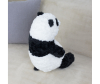   KiDWoW   388888328 - JX604519326BK__2__1_.JPG-1698779696