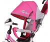   Trike Flower (- ) - Trike Flower (- )