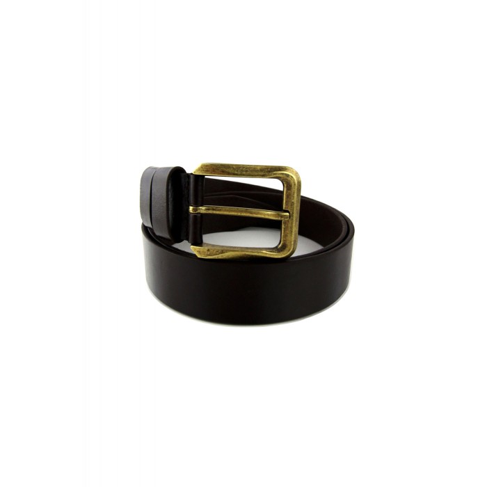  Wild Bear  RM-012m