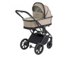  Sweet Baby 2  1 SBL Massimo - Sweet Baby 2  1 SBL Massimo