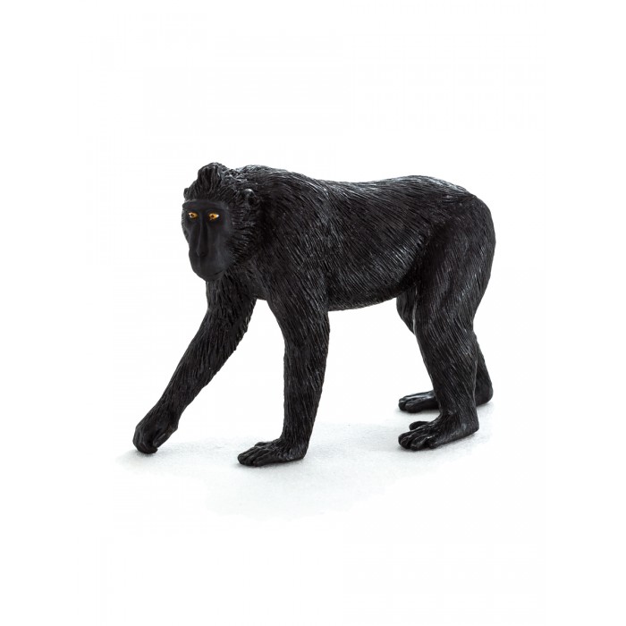  Mojo  Animal Planet   M