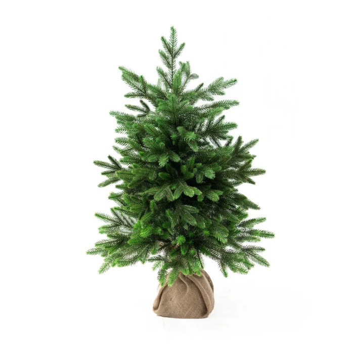  National Tree Company    80 