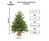  National Tree Company    80  - National Tree Company    80 