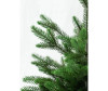  National Tree Company    80  - National Tree Company    80 