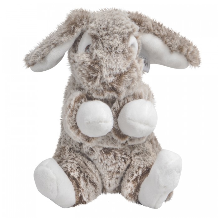������ ������� Molli ���� 16 ��