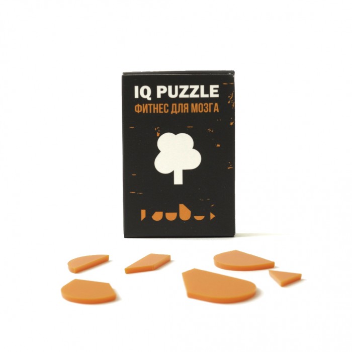  IQ Puzzle  