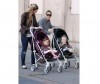 - Cybex Callisto - Cybex Callisto