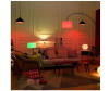  Xiaomi   Mi Smart LED Bulb Essential - Xerox   Mi Smart LED Bulb Essential