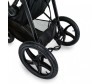   Hauck Runner - Hauck Runner
