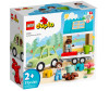  Lego Duplo     (31 ) - Lego Duplo     (31 )