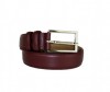  Wild Bear  RM-015m - Wild Bear  RM-015m