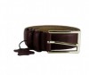  Wild Bear  RM-015m - Wild Bear  RM-015m