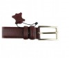  Wild Bear  RM-015m - Wild Bear  RM-015m