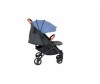   Glamvers Izabel     - Glamvers Izabel    